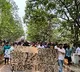 HCU Protest Students Demonstrate Against 400 Acre Land Sale