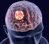 Israeli researchers develop AI tool to decode cell responses to drugs