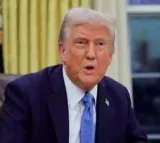 Immigrants to be let in to work in plants opening up because of tariffs: Trump
