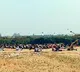 Supreme Court stays tree felling on land near Hyderabad University