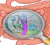 Common gut bacteria can make diabetes, cancer drugs less effective: Study