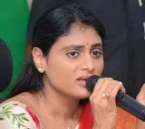 YS Sharmilas Fear for Sunitha Reddys Safety