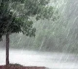 Unseasonal rains again damage agriculture crops in Telangana
