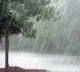 Unseasonal rains again damage agriculture crops in Telangana