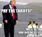 Penguins Unite Against Trump Hilarious Memes Go Viral
