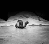 Wife Murdered in Noida over Suspicion of Extramarital Affair