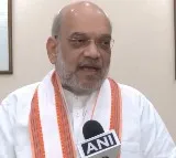 Amit Shahs Appeal to Maoists Lay Down Arms