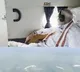 'Divine coincidence', PM Modi's Ram Setu darshan coincides with Surya Tilak ceremony in Ayodhya