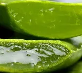 Truth About Aloe Vera: It’s More Powerful Than You Think
