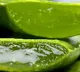 Truth About Aloe Vera: It’s More Powerful Than You Think