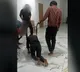 Kerala Companys Cruel Punishment of Employees Sparks Outrage