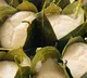 Why Pottikkalu Is the Healthiest Breakfast You’ve Never Heard Of