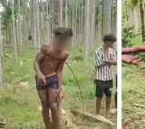 Horrific Child Abuse in Karnataka Boy Tied to Tree Ants Placed on Private Parts