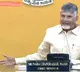 Chandrababu Naidu on Trumps Tariffs AP Shrimp Exports Hit Hard