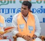 Annamalai to Get National Post in BJP
