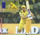 Dhonis Controversial LBW Decision Sparks Outrage