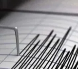 Earthquakes hit India, other Asian nations