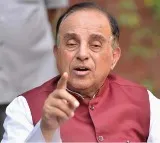 Subramanya Swami Responds to TTD Gosala Cow Deaths