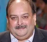 Mehul Choksi Arrested in Belgium PNB Scam Fugitive Apprehended