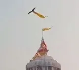 Vulture Steals Flag from Puri Jagannath Temple