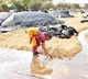 Heavy Rain and Hailstorm Ravage Crops Across Multiple Telangana Districts
