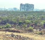 Telangana Govt Files Affidavit on Kancha Gachibowli Land in Supreme Court