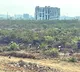 Telangana Govt Files Affidavit on Kancha Gachibowli Land in Supreme Court