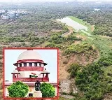 Supreme Courts Stern Warning on Gachibowli Tree Felling