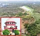 Supreme Courts Stern Warning on Gachibowli Tree Felling