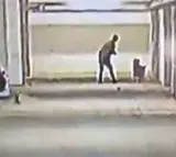 Man Kills 5 Puppies in Hyderabad Viral Video Sparks Outrage