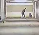 Man Kills 5 Puppies in Hyderabad Viral Video Sparks Outrage