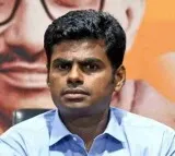 Annamalai to Rajya Sabha from Andhra Pradesh