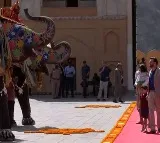 JD Vances Family Receives Grand Elephant Welcome in Jaipur