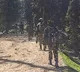 Brutal Pahalgam Attack 5 Terrorists Identified Manhunt Underway