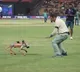 Sunil Gavaskar Dances with Robotic Dog, IPL Video Goes Viral