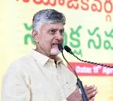 Chandrababu Naidu Rejoices Over TDPs Victory in Andaman Nicobar
