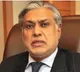 Pakistans Deputy PM Calls Pulwama Attackers Freedom Fighters