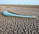 Kolleru Lake Drying Up A Crisis in Andhra Pradesh