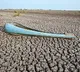 Kolleru Lake Drying Up A Crisis in Andhra Pradesh
