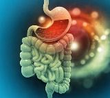 Three Powerful Drinks for Gut and Liver Health