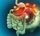 Three Powerful Drinks for Gut and Liver Health