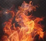 Tragedy Strikes Tamil Nadu Seven Dead in Firecracker Blasts