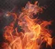 Tragedy Strikes Tamil Nadu Seven Dead in Firecracker Blasts