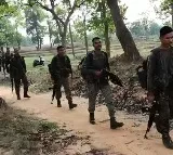 Massive Maoist Tunnel Discovered in Karrerugutta