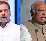 'India must show we stand together against terrorism', Rahul Gandhi writes to PM for special Parliament session