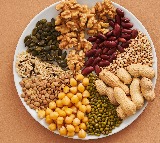 10 Affordable Indian Vegan Protein Sources You Should Add to Your Diet