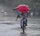 Odisha Faces Havoc Due to Heavy Rainfall and Strong Winds