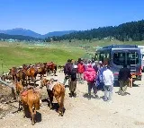 Kashmir Sleeper Cells Active 48 Tourist Sites Closed