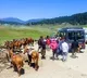 Kashmir Sleeper Cells Active 48 Tourist Sites Closed