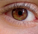 Summer’s Silent Threat: How to Protect Yourself from Pink Eye!